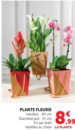 Plante Fleurie en sac kraft
