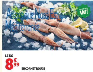 Encornet rouge