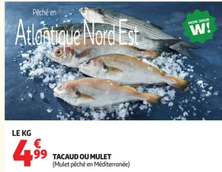 Tacaud ou mulet