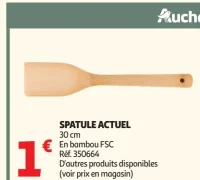 SPATULE ACTUEL