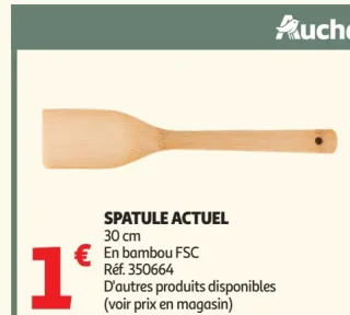 SPATULE ACTUEL