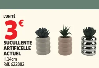 Sucullente artificielle Actuel