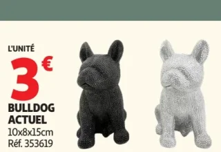 Bulldog Actuel