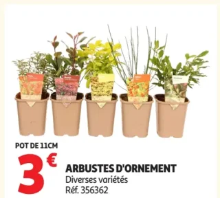 Arbustes d'ornement