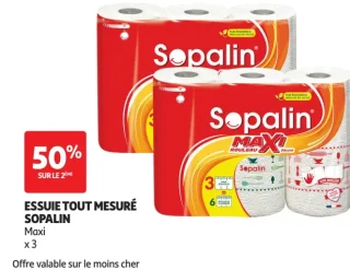 Essuie tout mesuré Sopalin Maxi