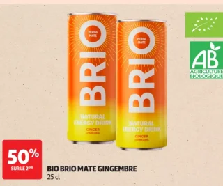 BIO BRIO MATE GINGEMBRE