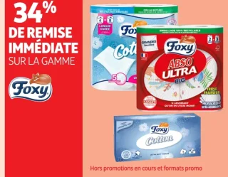 Papier toilette et Essuie-tout Foxy