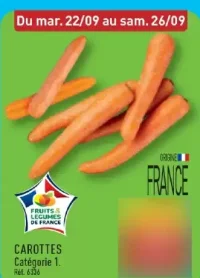 Carottes