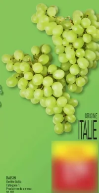 RAISIN Variété Italia