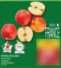 POMMES BICOLORES Variété Gala