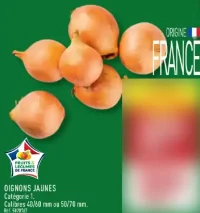 Oignons jaunes