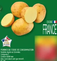 Pommes de terre de consommation