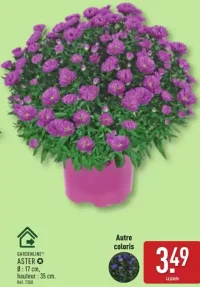 GARDENLINE® ASTER