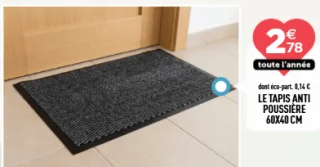 Le tapis anti poussière 60x40 cm