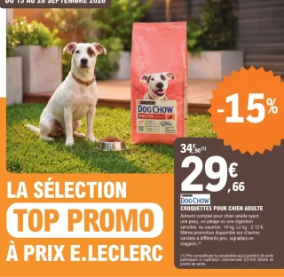 Purina Dog Chow Croquettes pour chien adulte