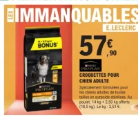 Croquettes pour chien adulte Purina Pro Plan