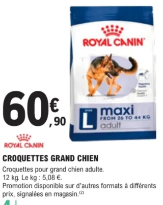 Croquettes grand chien Royal Canin maxi adult
