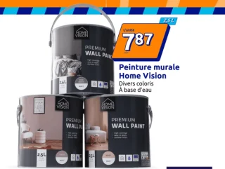 Peinture murale Home Vision
