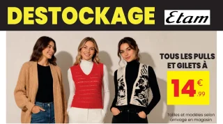 Tous les pulls et gilets Etam