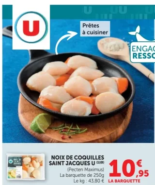 Noix de coquilles Saint Jacques U