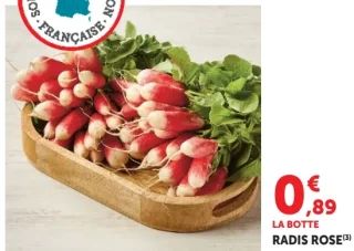 Radis Rose