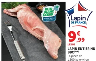 Lapin entier nu BBC