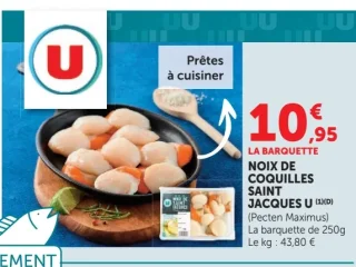 Noix de Coquilles Saint Jacques U