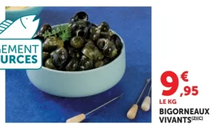Bigorneaux vivants