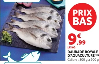 Daurade royale d'aquaculture