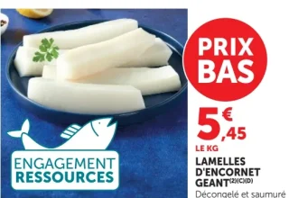 Lamelles d'encornet géant