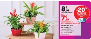 COMPOSITION DE PLANTES