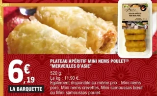 Plateau Apéritif Mini Nems Poulet "Merveilles d'Asie"