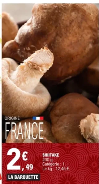 Shiitake