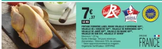 Pintade Fermière Label Rouge Volaille d'Auvergne IGP