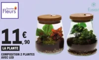 COMPOSITION 2 PLANTES AVEC LED Quartier Fleurs