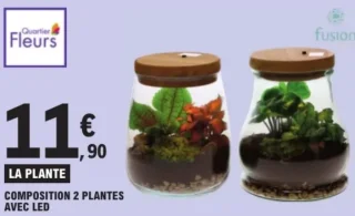 COMPOSITION 2 PLANTES AVEC LED Quartier Fleurs