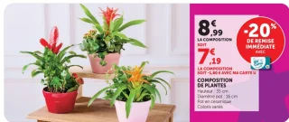 Composition de plantes