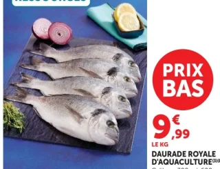 Daurade Royale D'aquaculture