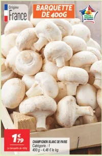 Champignon blanc de paris