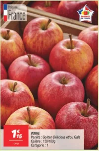 Pomme 