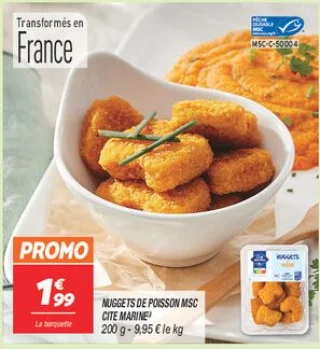 Nuggets de poisson msc 