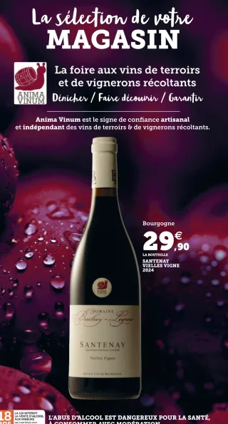 Domaine Bachey-Legros Santenay Vieilles Vignes 2024 Bourgogne