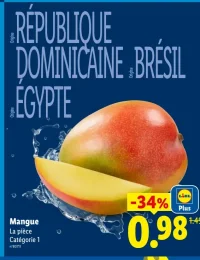 Mangue