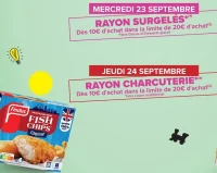 Colin d'Alaska façon Fish and Chips Findus