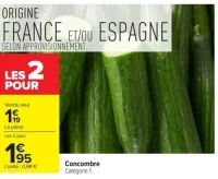 Concombre