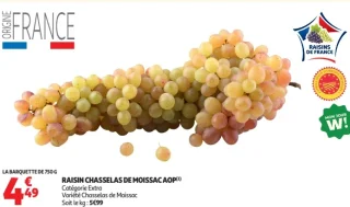 Raisin Chasselas de Moissac AOP