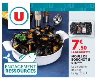 Moule de Bouchot STG U