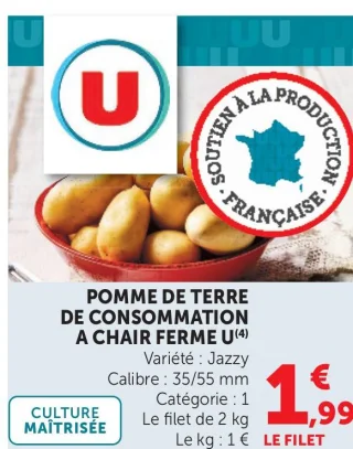 Pomme de terre de consommation à chair ferme U