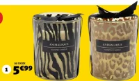 Bougie animalique GiFi