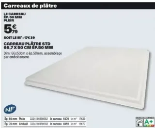 Carreau de plâtre standard plein 66,7 x 50 cm ép.50 mm
